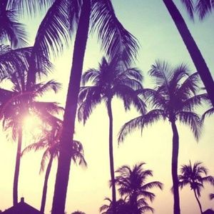 Meet your Posher, Robyn